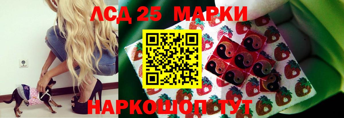Псилоцибиновые грибы Тимашёвск