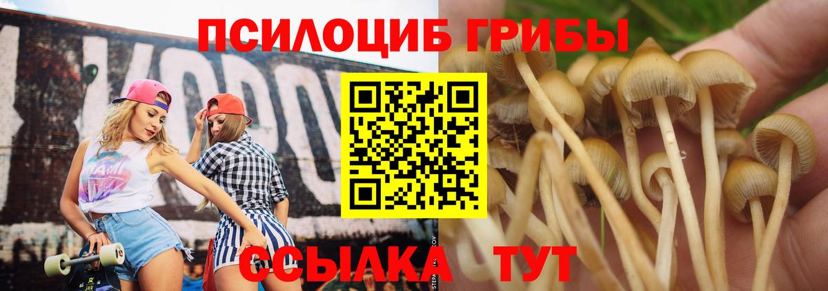Тимашёвск  Галлюциногенные грибы мухоморы  Вход с VPN  Галлюциногенные грибы Cubensis 